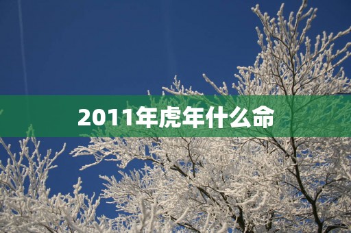 2011年蛇年什么命