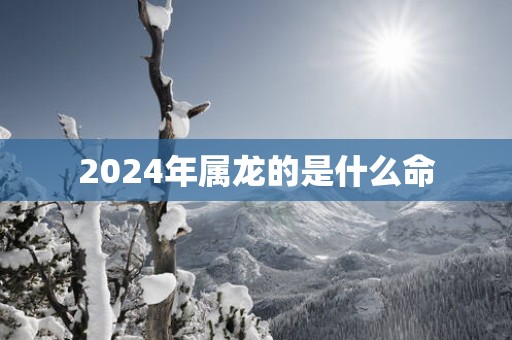 2025年属龙的是什么命