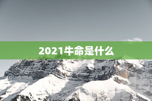 2025牛命是什么