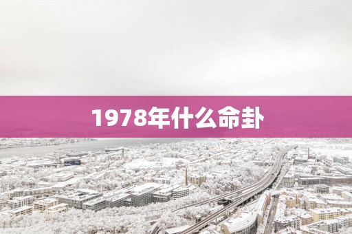 1978年什么命卦
