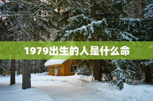 1979出生的人是什么命