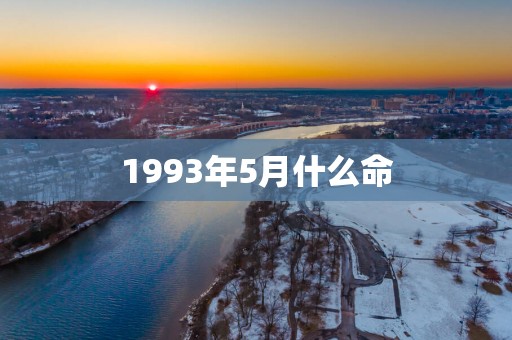 1993年5月什么命