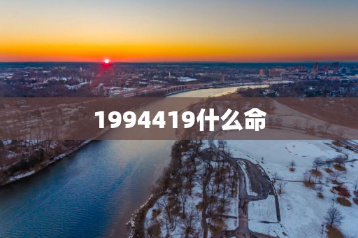 1994419什么命