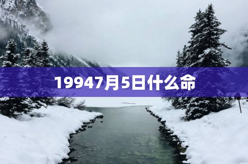19947月5日什么命