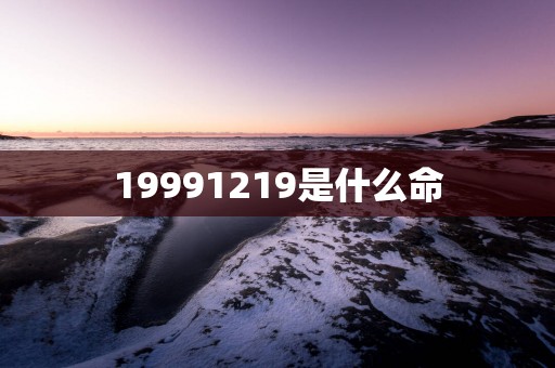 19991219是什么命