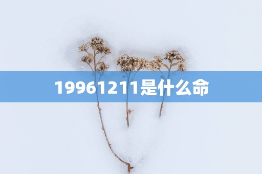 19961211是什么命