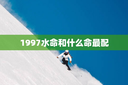 1997水命和什么命最配