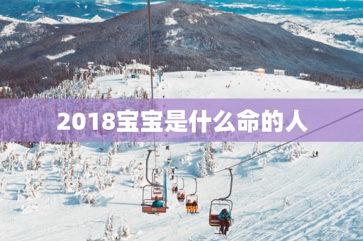 2018宝宝是什么命的人