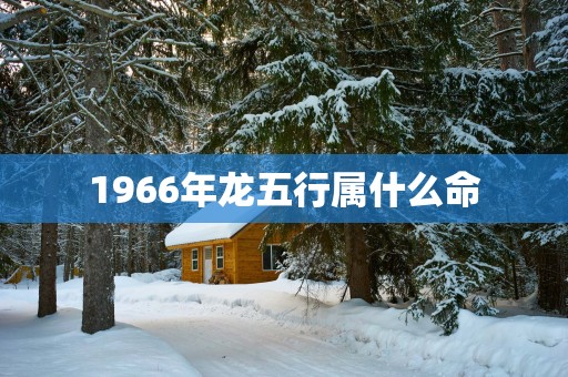 1966年龙五行属什么命