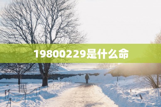 19800229是什么命