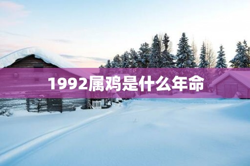 1992属鸡是什么年命