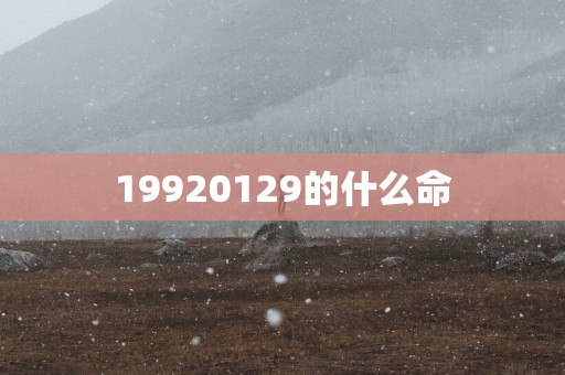 19920129的什么命