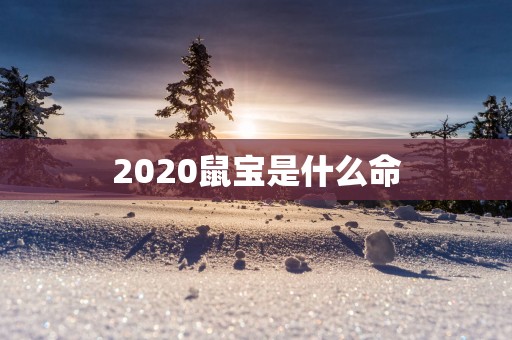 2025鼠宝是什么命