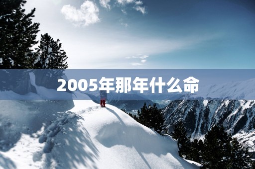 2005年那年什么命