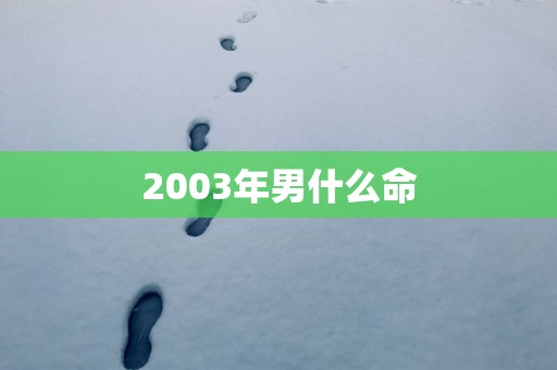 2003年男什么命