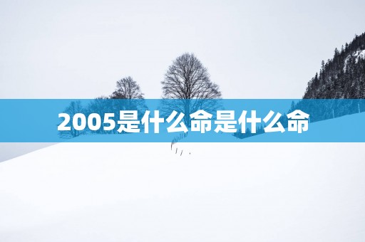 2005是什么命是什么命