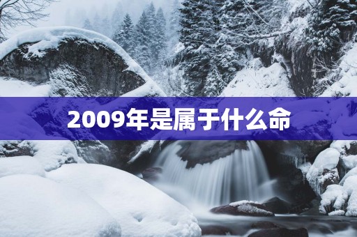 2009年是属于什么命