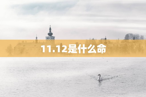 11.12是什么命