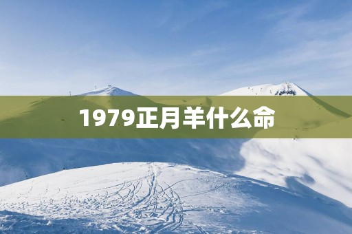1979正月羊什么命