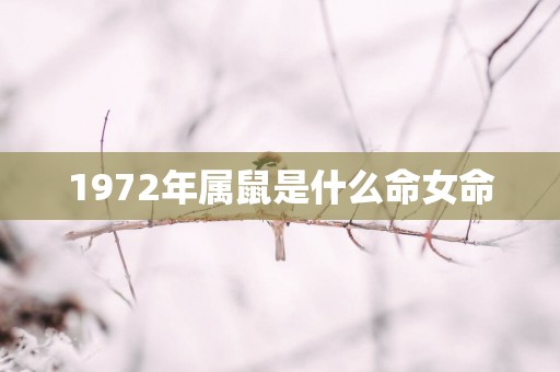 1972年属鼠是什么命女命