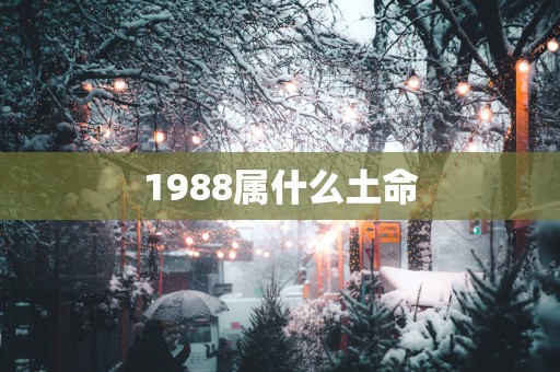1988属什么土命