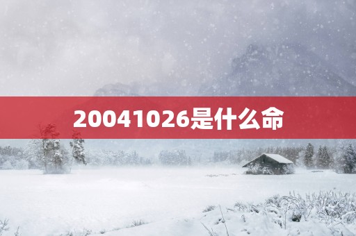 20041026是什么命