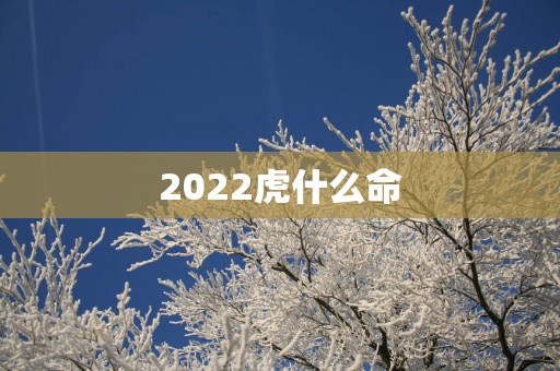 2025虎什么命