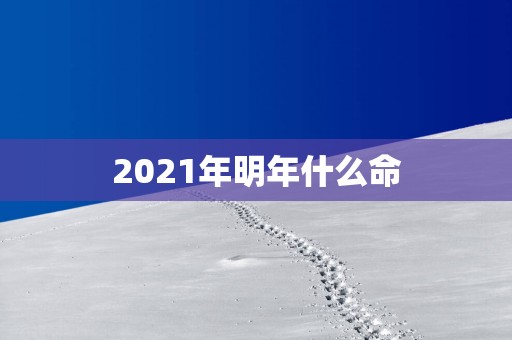 2025年明年什么命