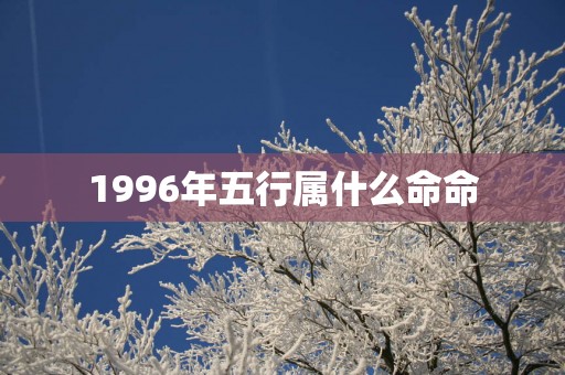 1996年五行属什么命命