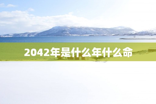 2042年是什么年什么命