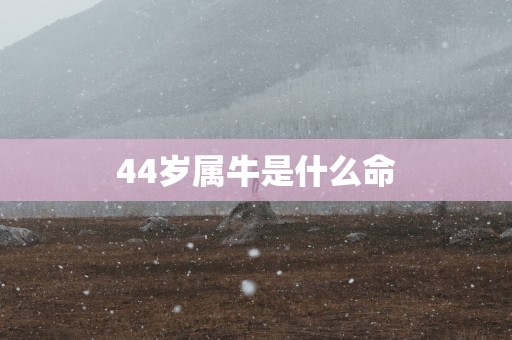 44岁属牛是什么命 44岁属牛是什么命