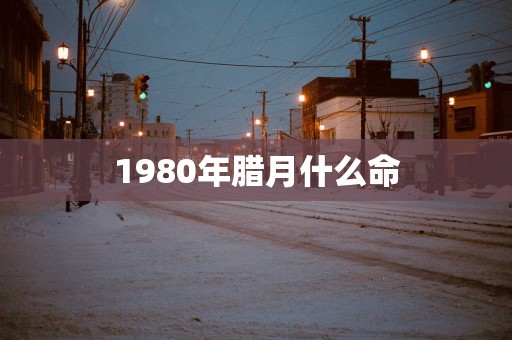 1980年腊月什么命