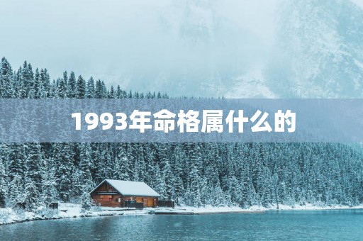 1993年命格属什么的