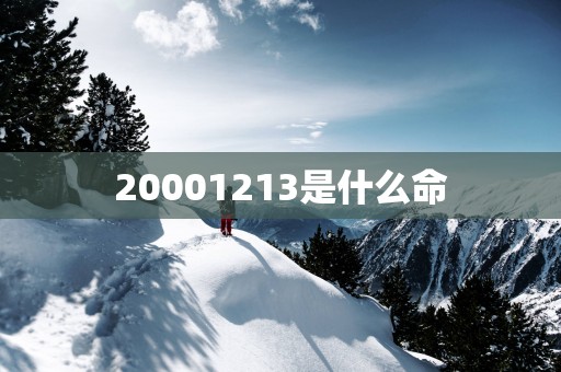 20001213是什么命