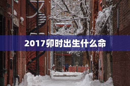 2017卯时出生什么命