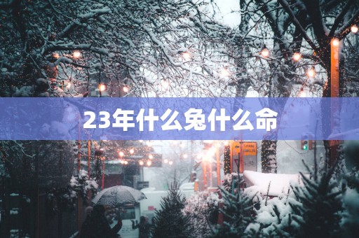 23年什么兔什么命
