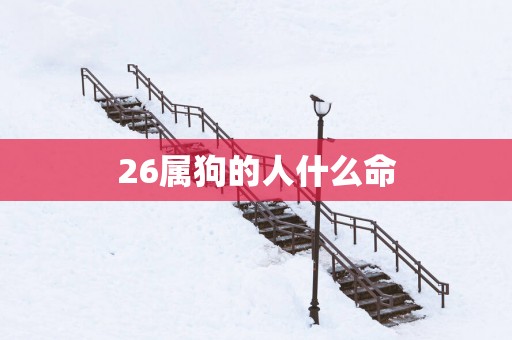 26属狗的人什么命