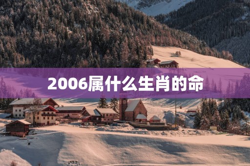 2006属什么生肖的命