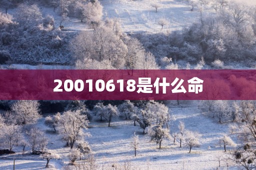 20010618是什么命
