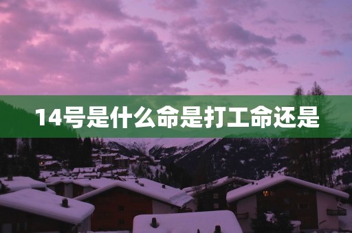 14号是什么命是打工命还是