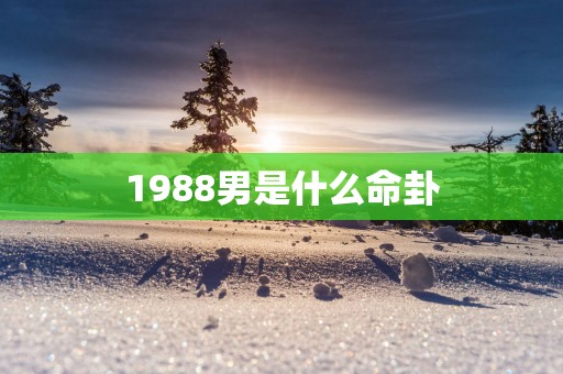 1988男是什么命卦