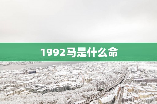 1992马是什么命