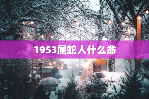 1953属蛇人什么命