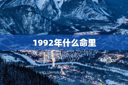 1992年什么命里