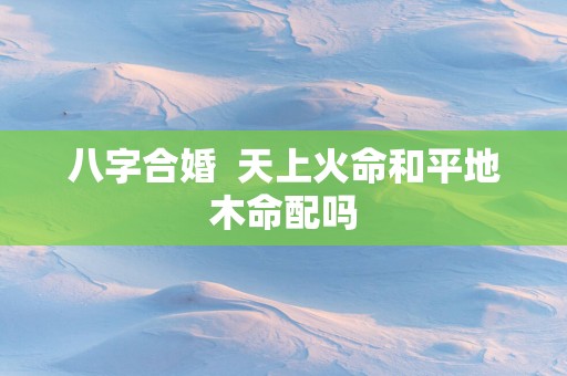 八字合婚  天上火命和平地木命配吗