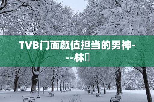 TVB门面颜值担当的男神---林峯