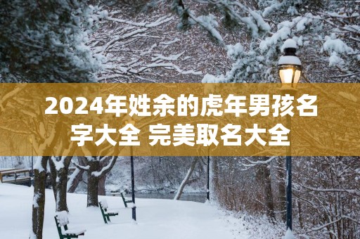 2025年姓余的蛇年男孩名字大全 完美取名大全