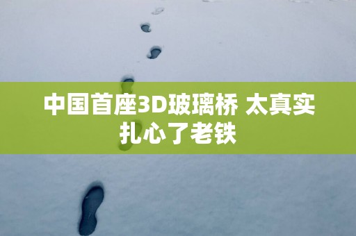 中国首座3D玻璃桥 太真实扎心了老铁