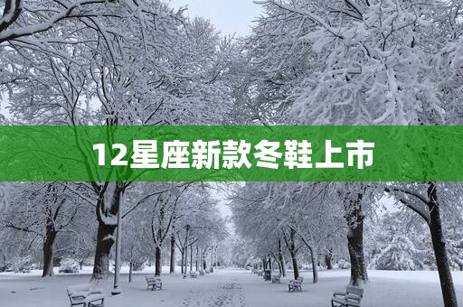 12星座新款冬鞋上市