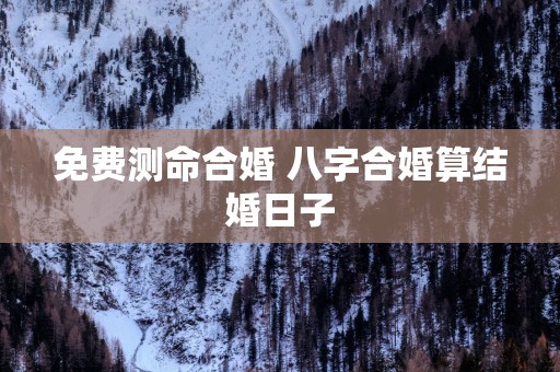 免费测命合婚 八字合婚算结婚日子